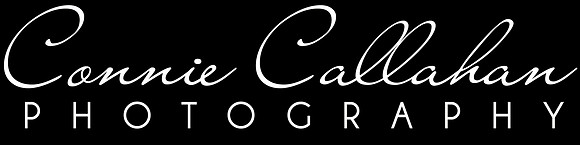 connie callahan photography logo